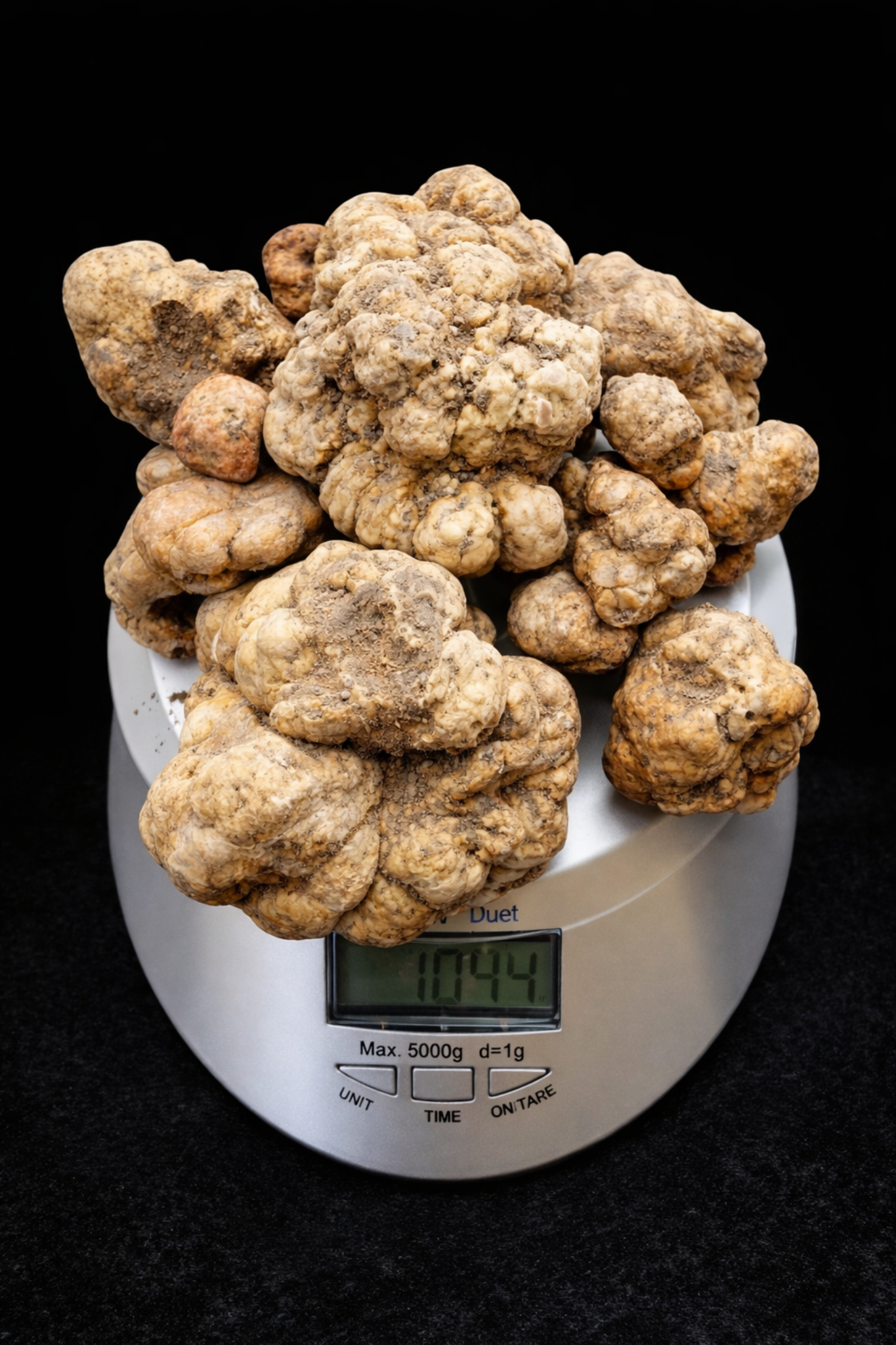 Selezione Truffle World